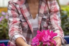 20. LORE ETA LANDARE AZOKA