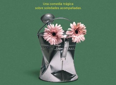 SABES QUE LAS FLORES DE PLÁSTICO NUNCA HAN VIVIDO, ¿VERDAD?, Tanttaka (cas)