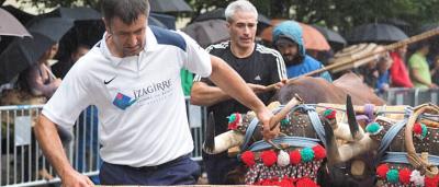 Feria_Ganado_Tiro-de-piedra_2