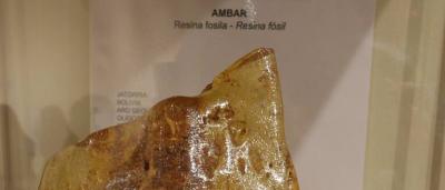 01_Exposición-Salas_12