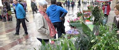 00_Puestos-de-flores-4
