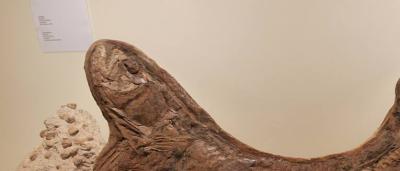 01_Exposición-Salas_13