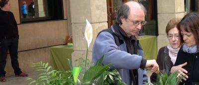 00_Puestos-de-flores-6