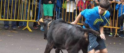 Feria_Maromas-becerro