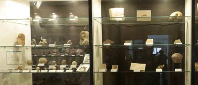 01_Exposición-Salas_00