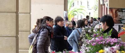 00_Puestos-de-flores-9