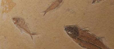 01_Exposición-Salas_9