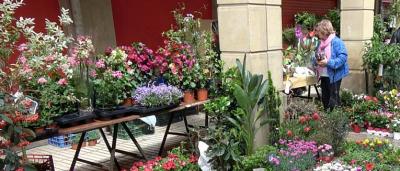 00_Puestos-de-flores-2