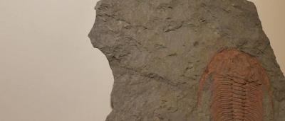 01_Exposición-Salas_10