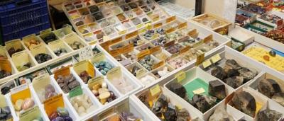 00_Exposición-Feria_5