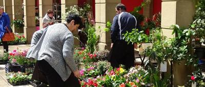 00_Puestos-de-flores-12