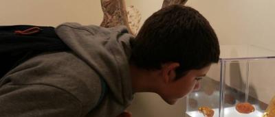 01_Exposición-Salas_1