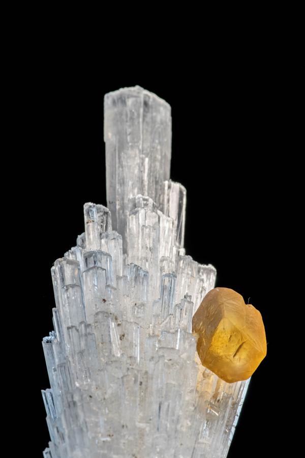 herriko onena Jesús Heras