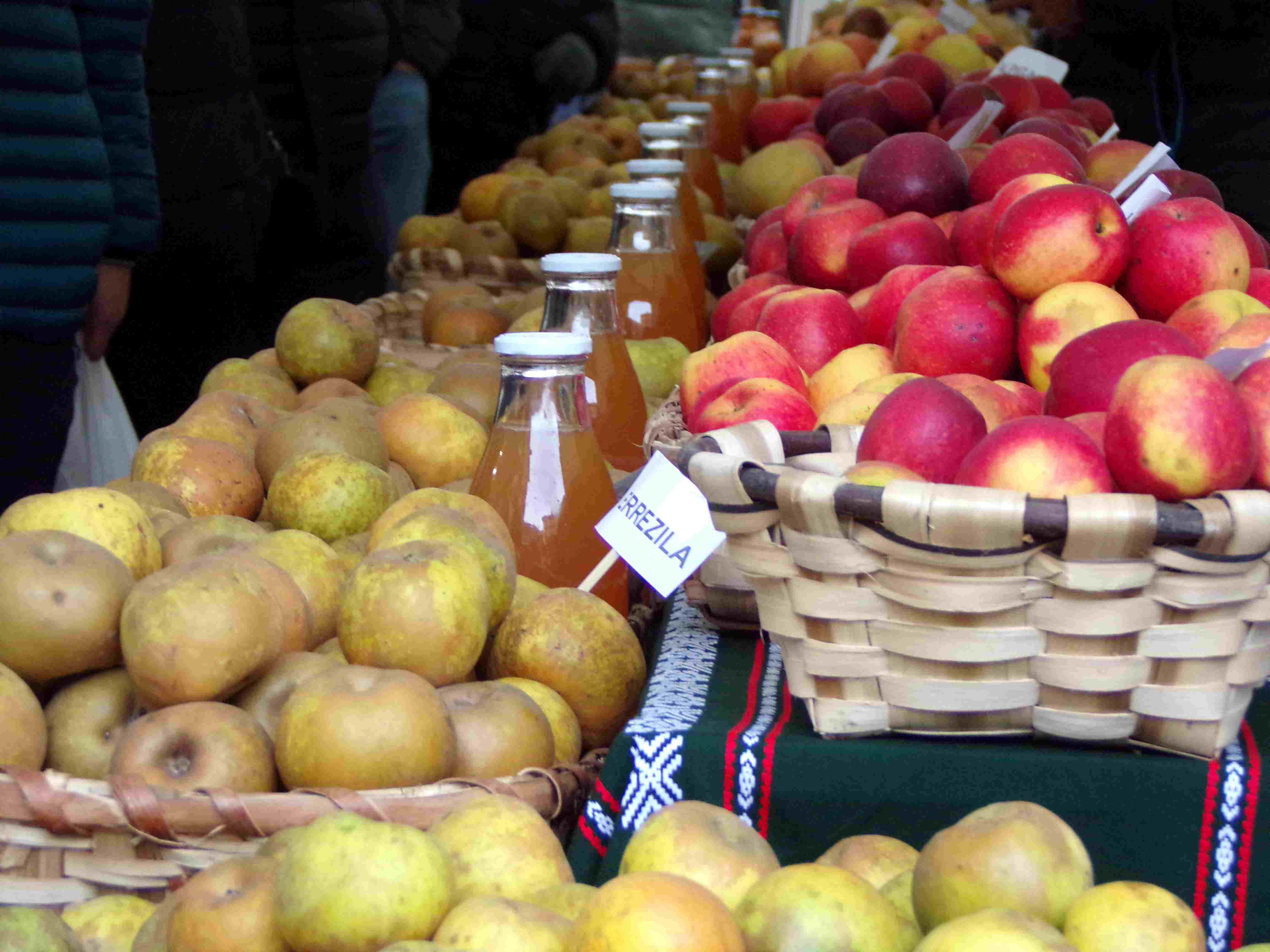 Santa Lutzi argazki rallya 2025: oinarriak  