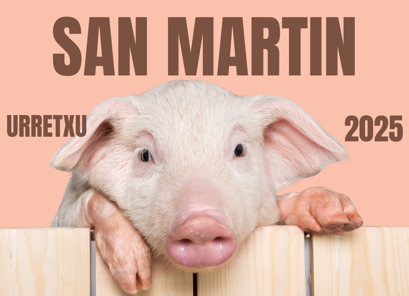 SAN MARTIN EGUNA 2025