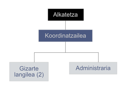 gizarte ekintza organigrama