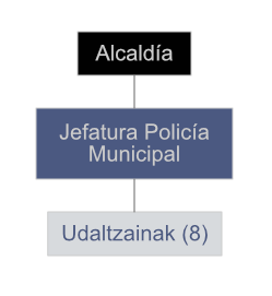 organigrama área seguridad ciudadana