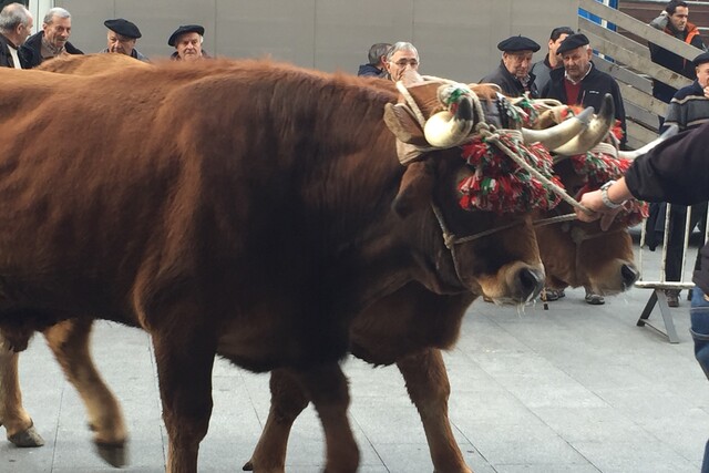 Martxoko peria bertan behera geratu da