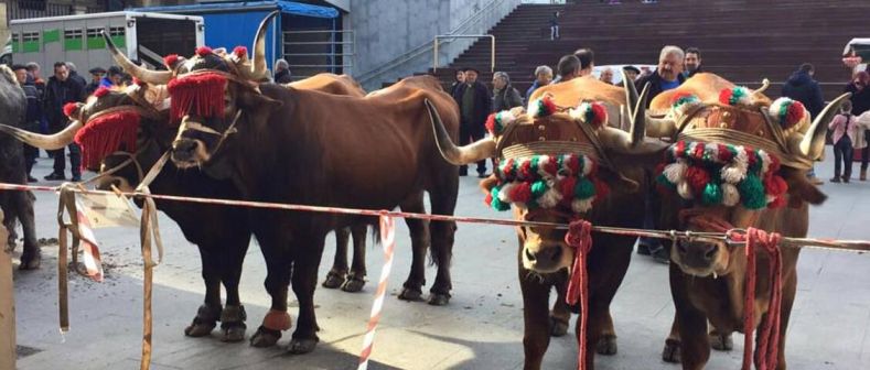 Martxoko eta abenduko Feria bereziak
